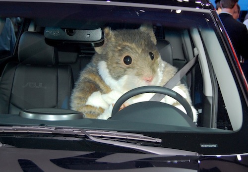 A Kia Hamster