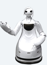 toyotarobot2