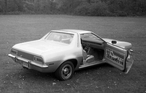 pinto sportiva2