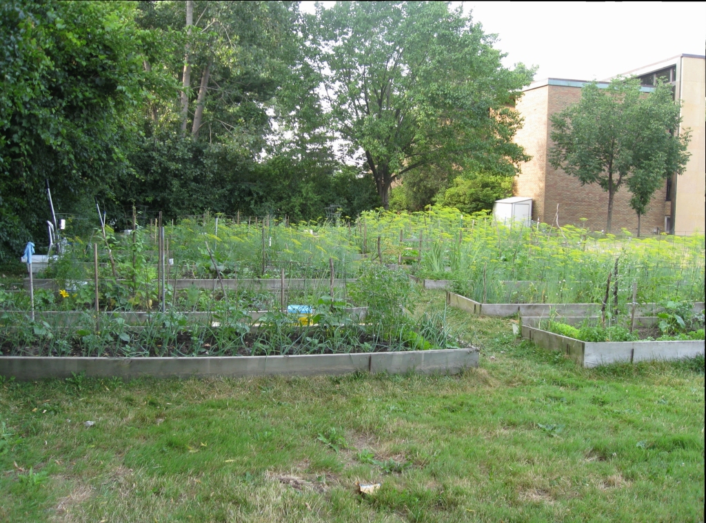 Temple Emanuel Garden